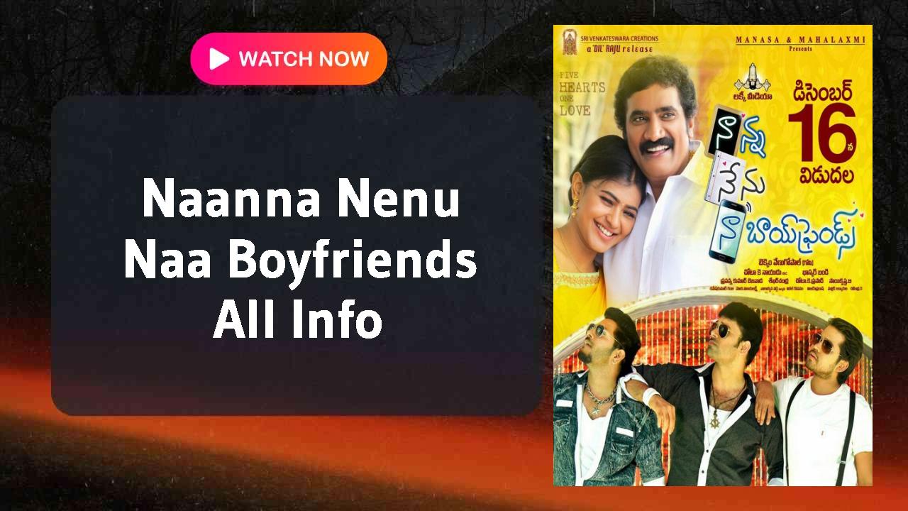 Naanna Nenu Naa Boyfriends