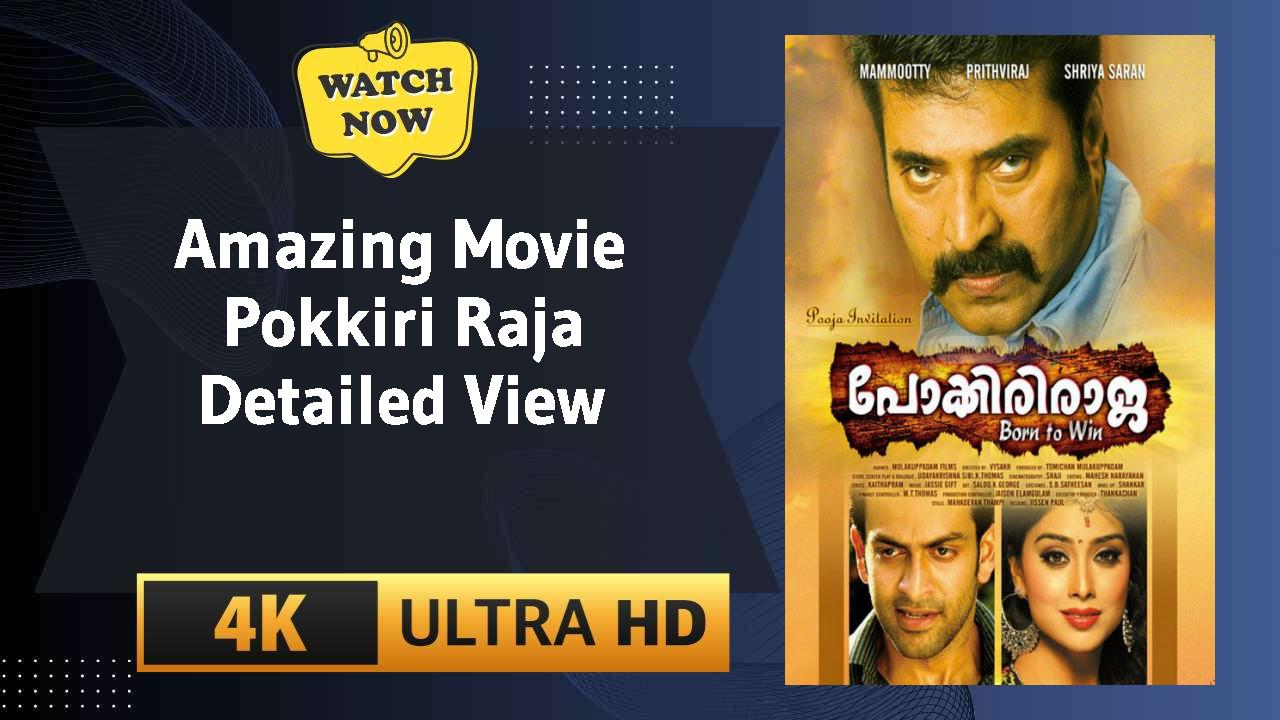 Pokkiri Raja